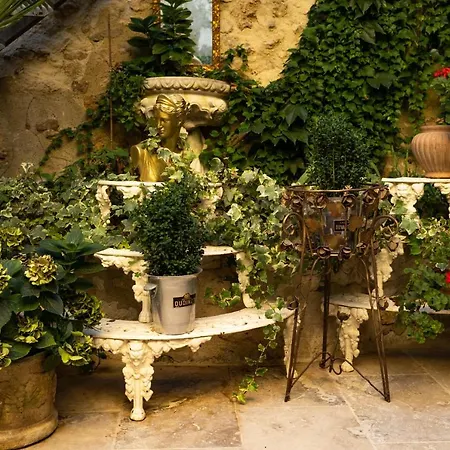 Champagne House - - An Oasis Full Of Elegance, Luxury And Charm Condom