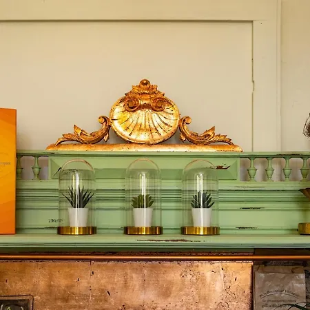 Villa Champagne House - - An Oasis Full Of Elegance, Luxury And Charm *