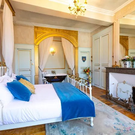 Villa CHAMPAGNE HOUSE- Oasis de luxe&de charme - coeur de ville - 10-12 pers - piscine, cuisine d'été, patio, bar&piano *